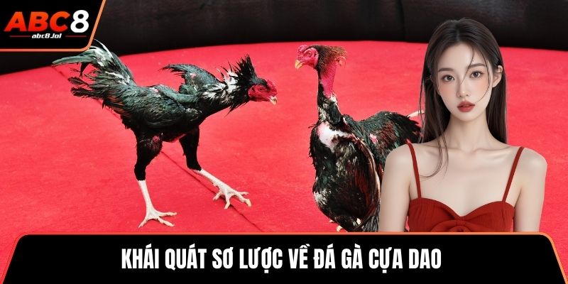 Khái quát sơ lược về đá gà cựa dao thú vị