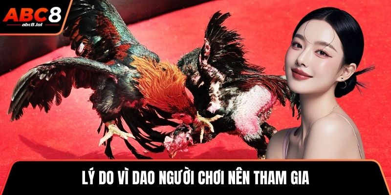 Đá Gà Thomo - Trò Chơi Kết Hợp Chiến Thuật Và Kỹ Năng  Lý do vì dao người chơi nên tham gia